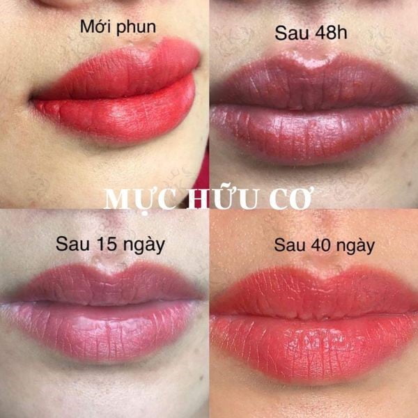 Phun môi mực hữu cơ bao lâu lên màu?