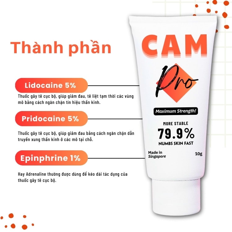 thanh-phan-kem-u-te-cam-pro